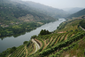 Усыпанная виноградниками долина реки Дуэро