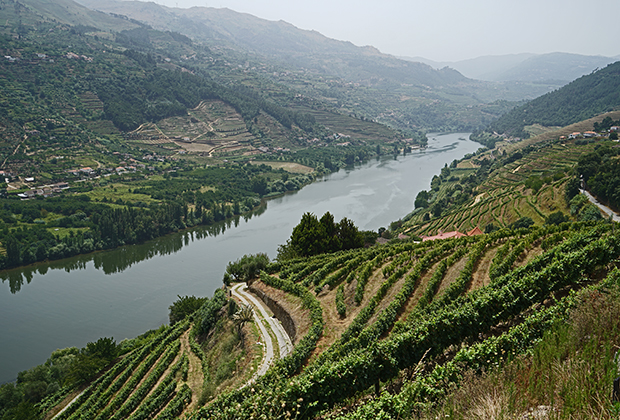 Усыпанная виноградниками долина реки Дуэро