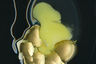 Иванов решил визуализировать сказку «Курочка Ряба» о курице, снесшей золотое яйцо, разбившееся по мановению мышиного хвостика. Мало кто задумывался, как эффектно могло выглядеть разбившееся яйцо из сказки.  



