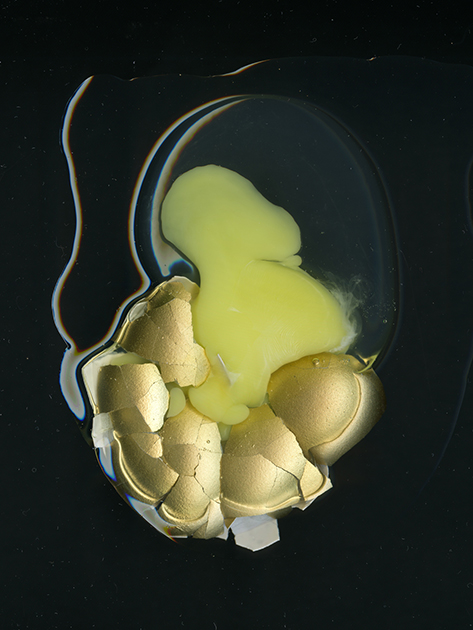 Иванов решил визуализировать сказку «Курочка Ряба» о курице, снесшей золотое яйцо, разбившееся по мановению мышиного хвостика. Мало кто задумывался, как эффектно могло выглядеть разбившееся яйцо из сказки.  



