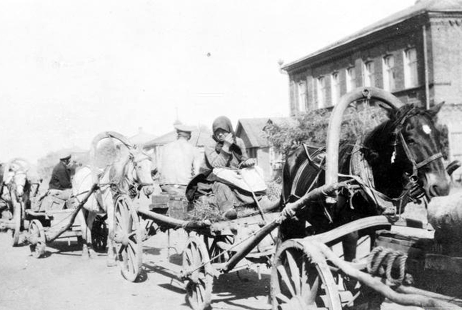Женщина управляет конной повозкой с боеприпасами в районе дислокации 3-го корпуса белой Донской армии. Константиновка (ныне — Донецкая область Украины), сентябрь 1919 года.
