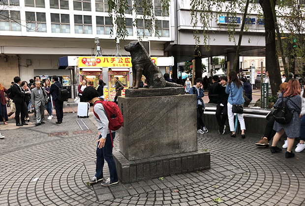 Памятник Хатико у станции Сибуя. Считается, что если потрогать его за передние лапы — случится что-то хорошее. Или нет
