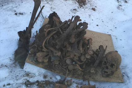 Россиянин выкопал на даче десятки простреленных черепов