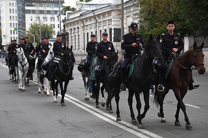 Спасительница полицейских коней рассказала о боях без правил между лошадьми