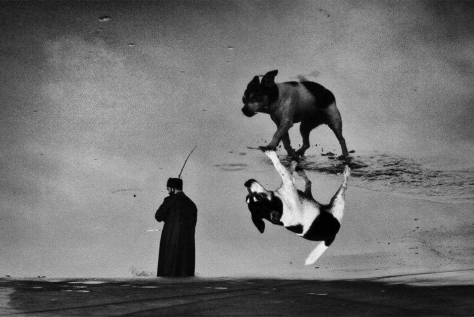 На снимке турецкого фотографа Кенана Карамана — собака с рыбаком на побережье Стамбула. Снимок занял второе место в номинации «Уличная фотография».