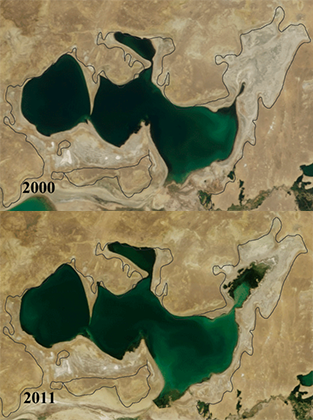 Малый Арал в 2000 и 2011 годах. Строительство дамбы остановило высыхание северной части, понизило соленость воды и позволило вновь разводить в Северном Арале рыбу. 