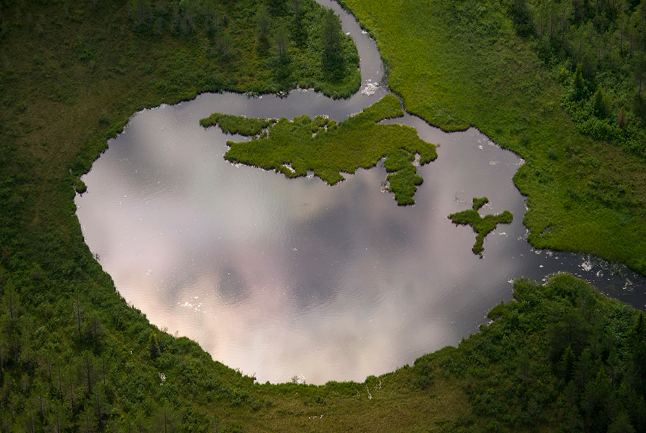 Озеро-разлив на реке Шардуша под Каргополем, Архангельская область 