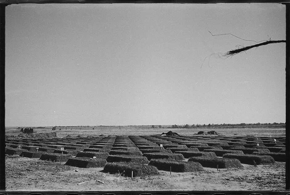 Военное немецкое кладбище со свежими могилами. Польша, 1942-1943 годы.