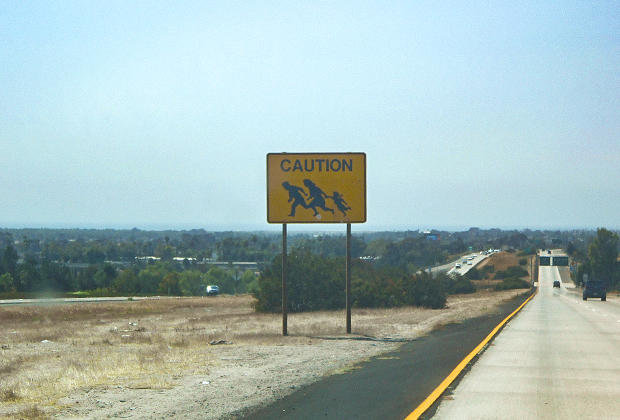 Знак, предупреждаюший о перебегающих дорогу нелегалах