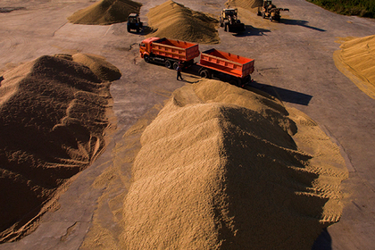 Из русского госфонда украли 19 тыс. тонн зерна