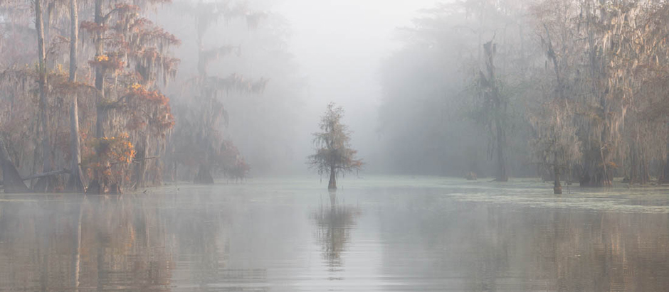 Роберто Маркеджиани снял этот мистический кадр, поставив камеру на длинную выдержку. Снимок был сделан на одном из заболоченных озер в штате Луизиана. 
