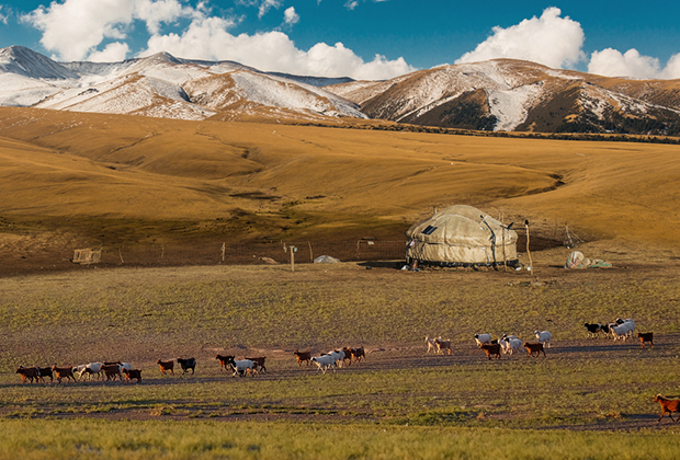 Казахстанская степь в районе плато Ассы