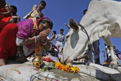 Убийство коров привело к смертельному погрому