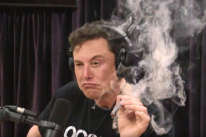Маск открестился от употребления марихуаны в прямом эфире