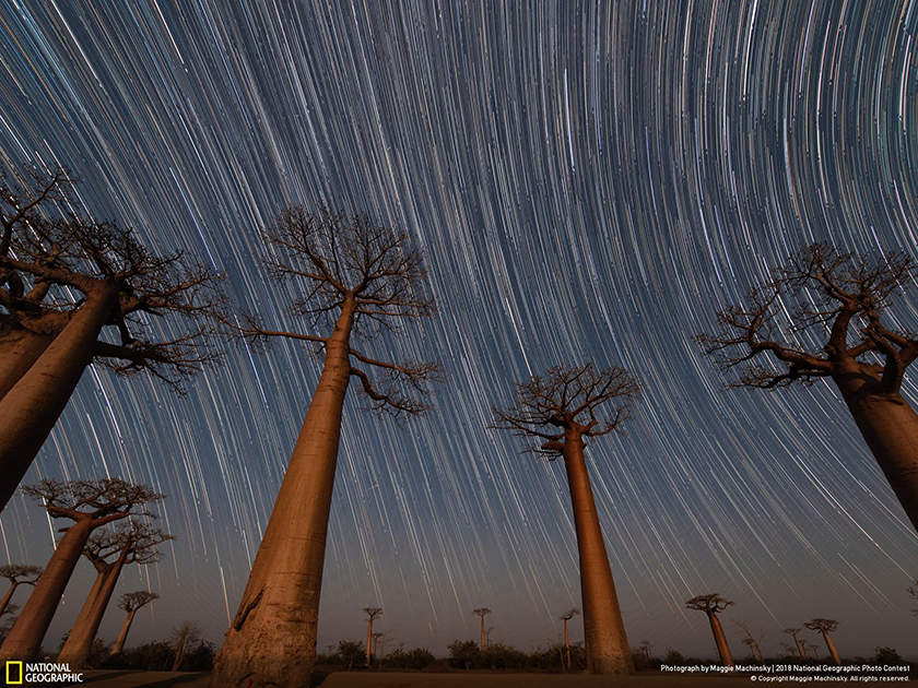 В то время, когда примерно треть населения мира больше не может видеть Млечный Путь невооруженным глазом из-за светового загрязнения, Мадагаскар остается изолированным раем, которому чужда такая проблема. Это 47-минутная экспозиция неба над знаменитой «аллеей баобабов», где произрастают деревья возрастом 800 лет.