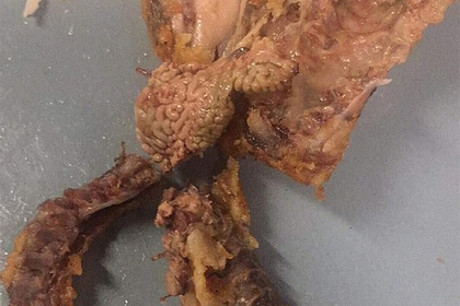 Посетительница KFC разглядела между ножек «мозги» и ужаснулась
