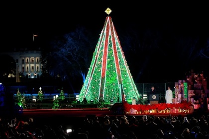 Американец забрался на главную рождественскую елку страны