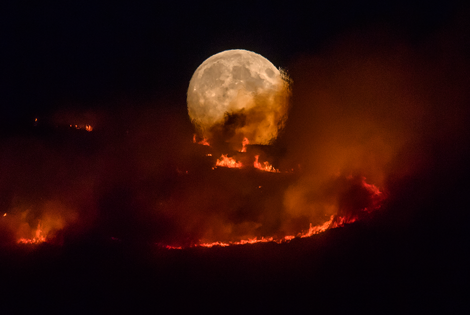Лесной пожар в графстве Большой Манчестер, Великобритания. Над пылающей вересковой пустошью встает полная луна. Снимок сделан 26 июня 2018 года в городе Стейлибридж.