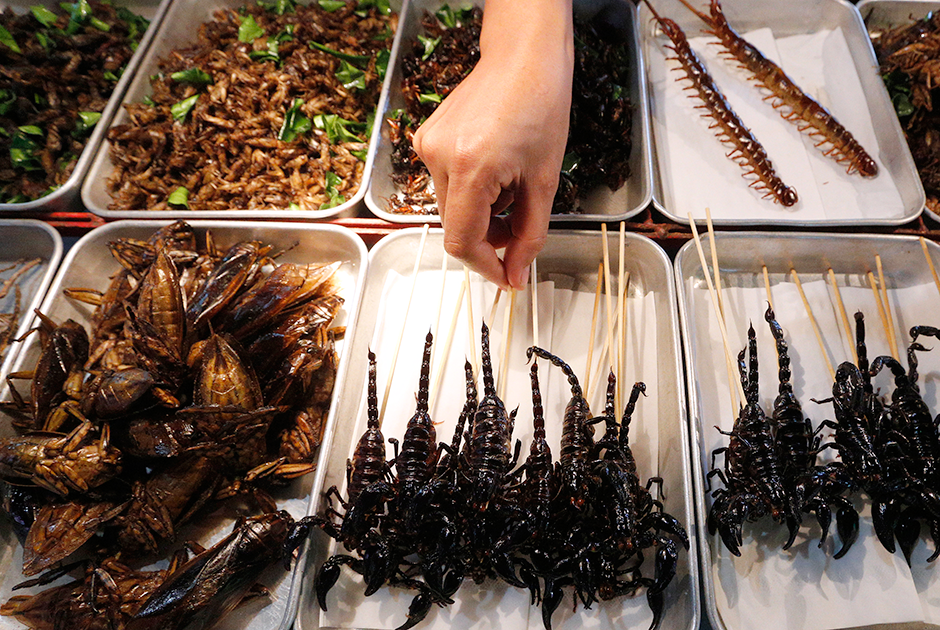 Улица Каосан Роуд в Бангкоке известна своим стритфудом. Здесь можно найти почти все распространенные в Таиланде уличные блюда, но самые популярные — свежие фрукты и жареные насекомые. Тараканы, сороконожки, скорпионы и жуки в голодные годы были пищей многих тайцев, но сейчас насекомые — скорее развлечение для туристов. По вкусу они больше всего напоминают жареные креветки.   