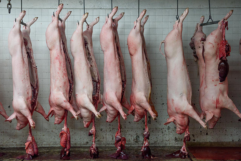 Свиные туши, приготовленные для отправки на продажу со скотобойни в городе Куэрнавака в мексиканском штате Морелос.