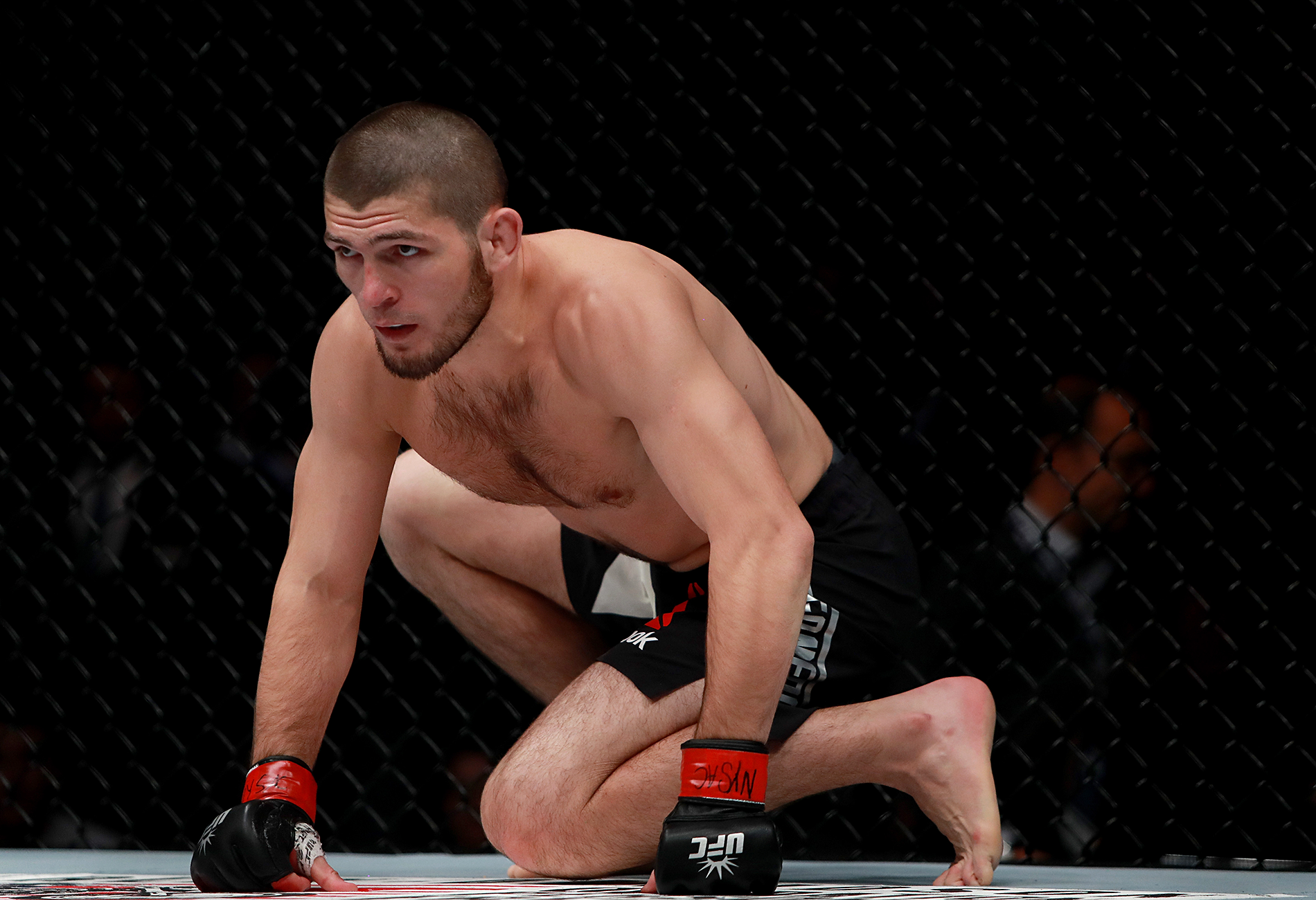 Khabib Nurmagomedov is ready to enter the ring if he is offered more than Floyd Mayweather and Logan Paul earned
