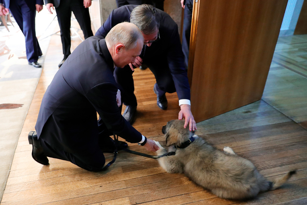 Владимир Путин и Александр Вучич