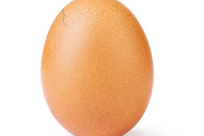 Поставившее мировой рекорд по лайкам яйцо треснуло
