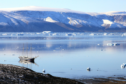 В Арктике заметили появление древних организмов