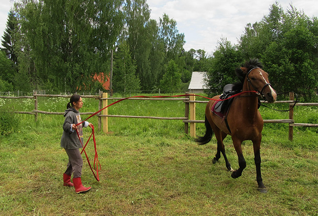 В Тверской области у Геры своя левада, конюшня, а с прошлого лета она начала учиться ходить под седлом
