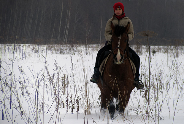 Главное для лошади — это постоянное движение, и глубокий снег этому не помеха 