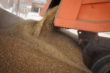 Россия задумалась подарить Северной Корее тысячи тонн пшеницы