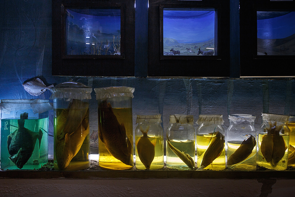 Память о былых уловах осталась в краеведческом музее Аральска. Около аквариумов школьникам рассказывают об их прадедах-рыбаках и о «бездонной рыбной бочке», которой было ушедшее море.