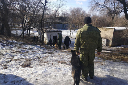 В ДНР уточнили детали атаки украинских беспилотниковПерейти в Мою Ленту