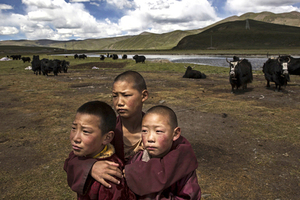 «Дети и монахи любят бросать в приезжих булыжники» Он проехал через весь Тибет и встретил живого Будду