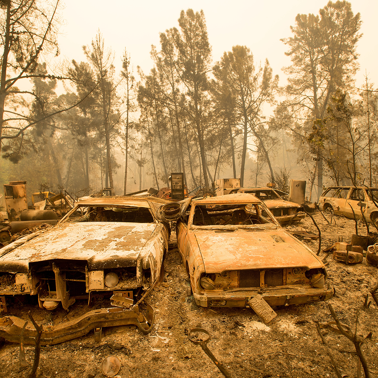 Реферат: Калифорнийские пожары 2007