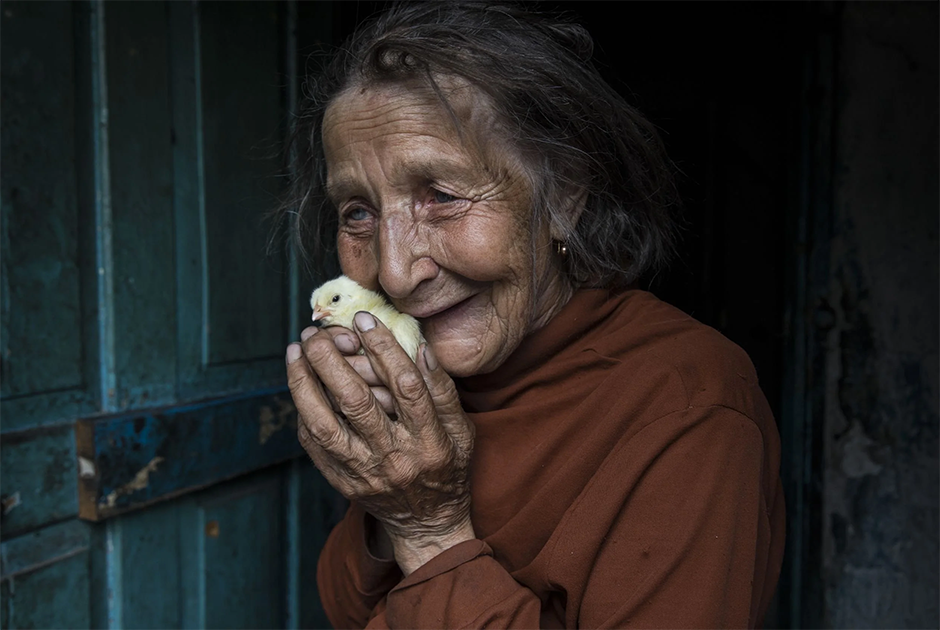 Украинский поселок Опытное. 76-летняя Мария Горпыныч живет одна. Она сжимает в руках цыпленка, которого ей доставили в рамках гуманитарной помощи. Выращивая цыплят, она может заработать денег на жизнь. Снимок отмечен особой премией в категории «Портрет».  
