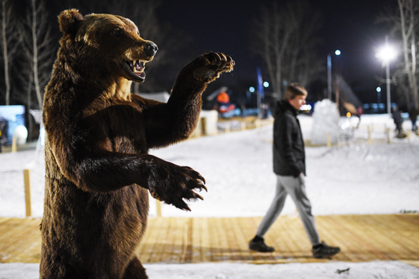 Вводная картинка