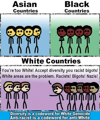 Перевод подписи: азиатские страны, черные страны, белые страны. На последней картинке: «Ты слишком белый! Принимай разнообразие, чертов расист! Белые районы — это плохо! Расист! Мракобес! Нацист!»

Разнообразие — это кодовое слово для геноцида белого населения.
Антирасистский — значит, антибелый.