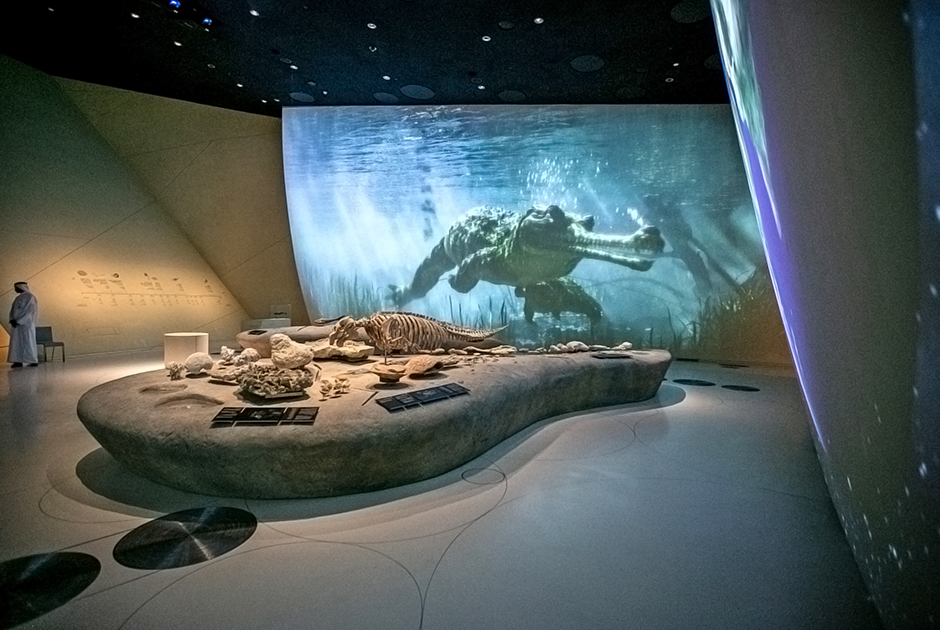 В разделе, посвященном доисторическим животным, мультимедийные экраны позволяют зрителям представить, как выглядели динозавры, от которых остались только ископаемые скелеты.