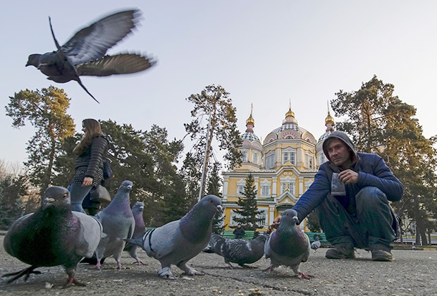 Горожане кормят голубей в парке Алма-Аты
