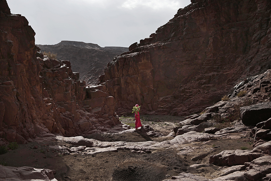 Бедуинская девочка несет растения, собранные в горах, окружающих деревню Вади Саху. Растения, произрастающие в окрестных горах и пустыне, бедуины используют в народной медицине.