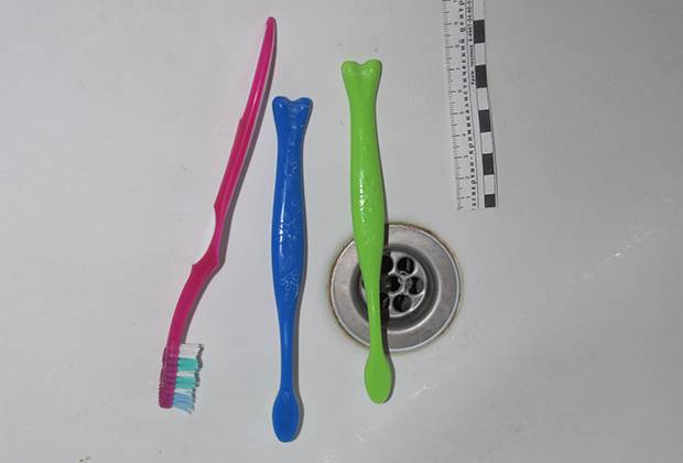 Зубные щетки, с которых криминалисты изъяли ДНК Ангелины и Вениамина при обыске в доме Боголюбовых