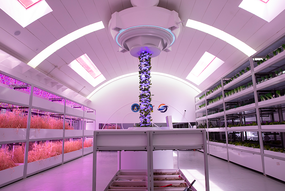 Одно из самых больших помещений марсианской базы отведено для лаборатории, в которой выращиваются различные растения. 