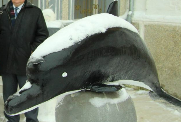 Скульптура черного дельфина во дворе колонии