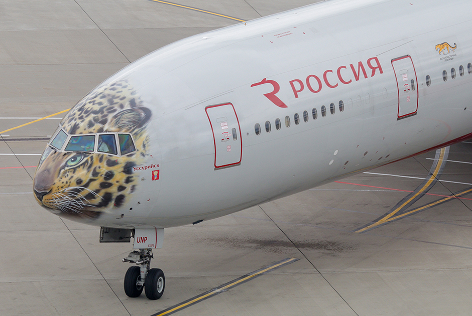 Усилиями общественности и бизнеса удалось увеличить численность леопардов в России. Это яркий пример, показывающий, что каждый может внести свой вклад в защиту окружающей среды. Главное — не быть равнодушным. 