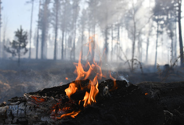 Лесной пожар у поселка Маккавеево Забайкальского края