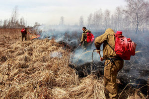 Огонь за Уралом Как побороть природные пожары?