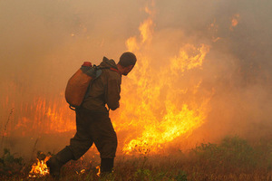 Лесные пожары охватили Россию Огонь оставил без жилья сотни людей и убил тысячи животных
