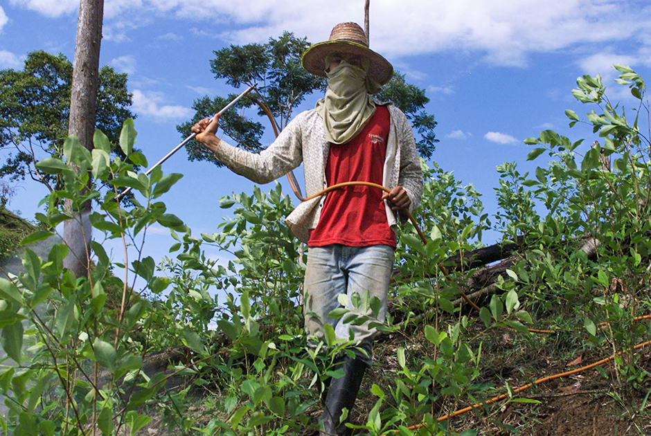 Колумбийский фермер опрыскивает пестицидами плантации коки