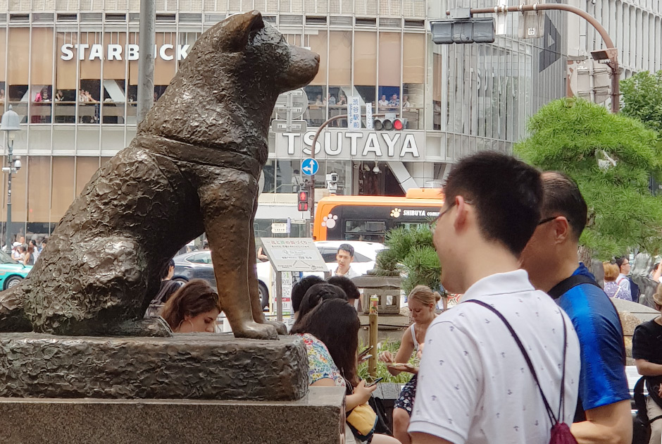 Скульптура знаменитого Хатико — пса, годами ждавшего своего давно умершего хозяина